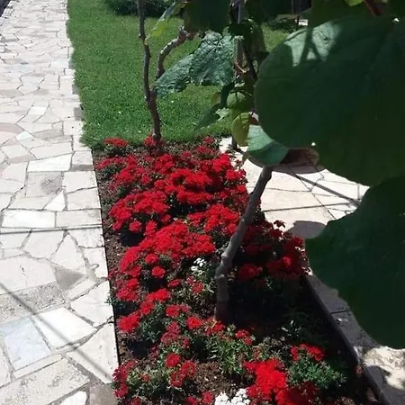 In Vrvari With Terrace, Wifi, Washing Machine 664-5
